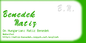 benedek matiz business card
